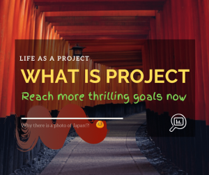 what is project