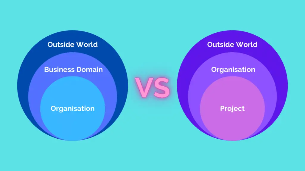 Project vs Organisation Environment Strategic Analysis