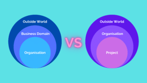 Project vs Organisation Environment Strategic Analysis