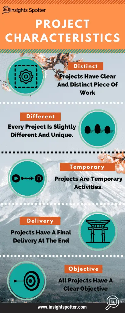 Project Characteristics: Project Management Key Characteristics