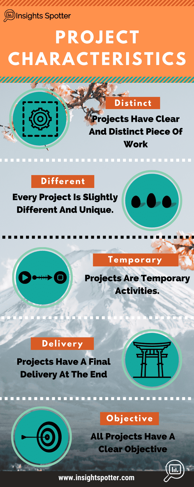 project-characteristics-key-elements-that-define-a-project-insights