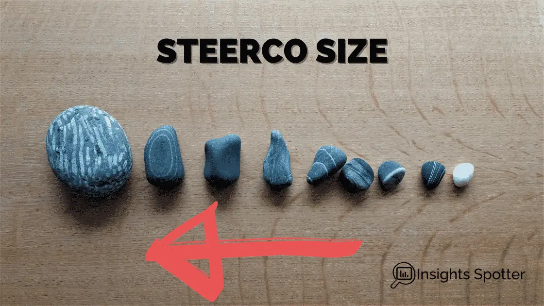 How Many People Should Be In The Steering Committee or SteerCo size