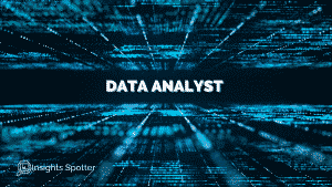 Who Is Data Analyst In A Project Team Member