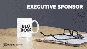 Who Is Executive Sponsor In A Project Team Leaders And Contributors