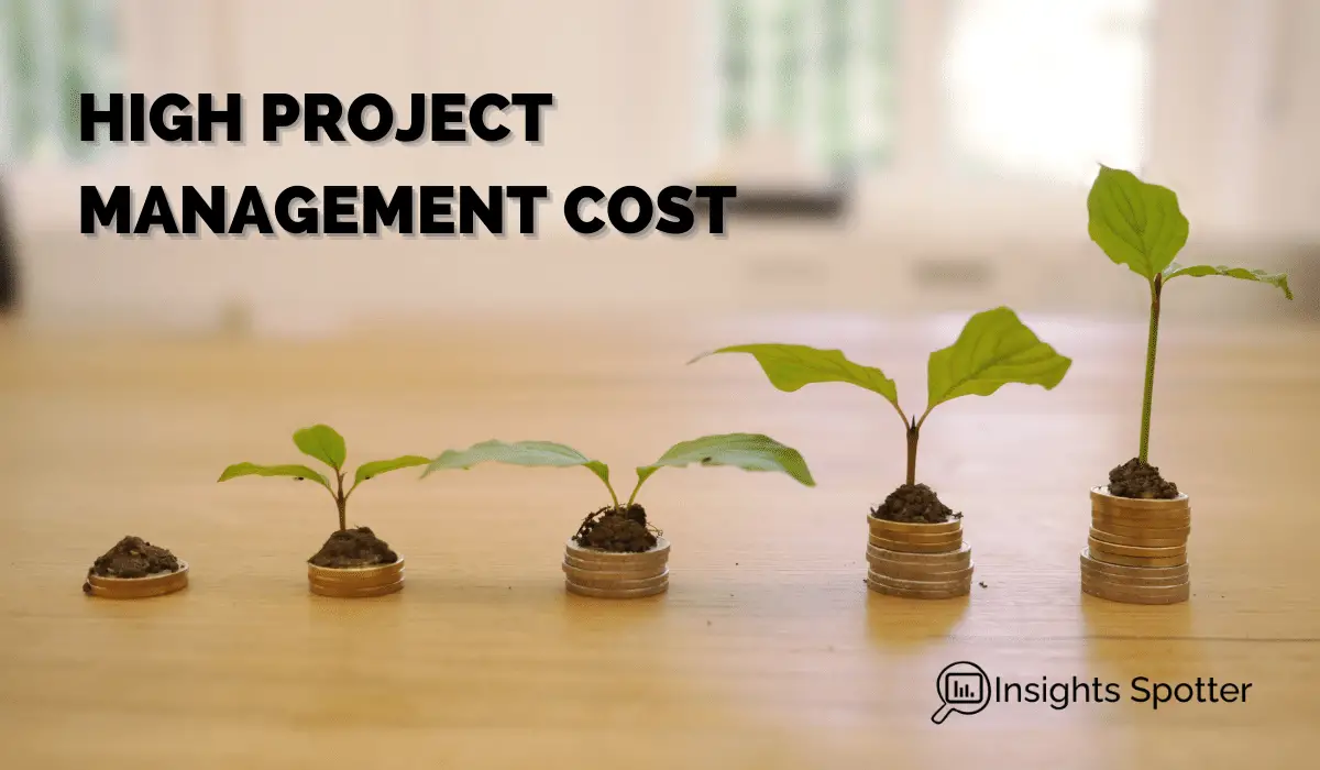 High Project Management Cost As A Disadvantage