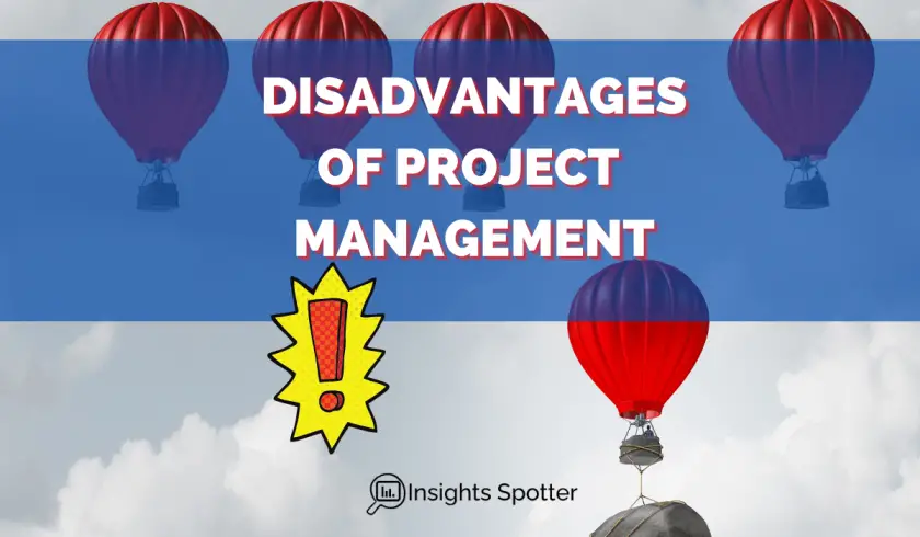 Disadvantages Of Project Management: Project Manager Evaluation