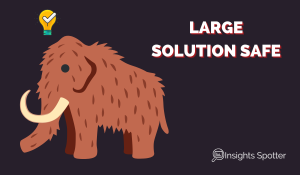 Large Solution SAFe
