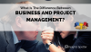 Project vs Business Management: PM Perspective | Insights Spotter