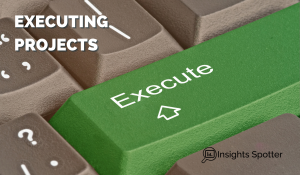 Project Execution