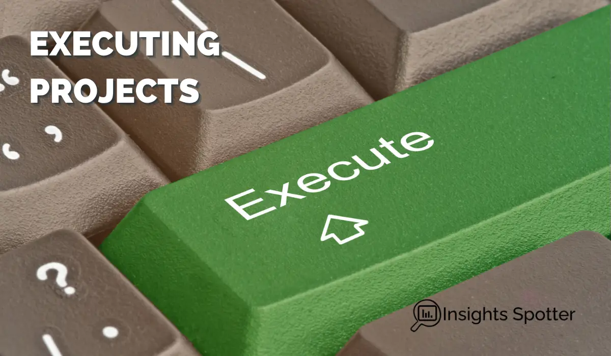 Project Execution