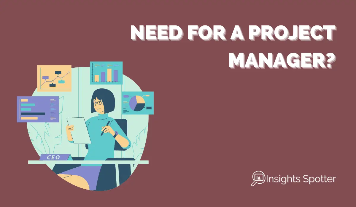 Do We Need a Project Manager