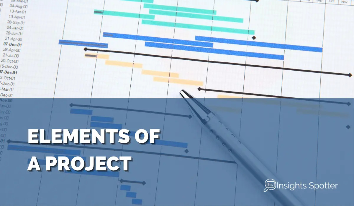 What Are the Elements of a Project