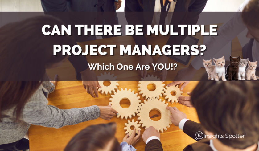 Can There Be Multiple Project Managers