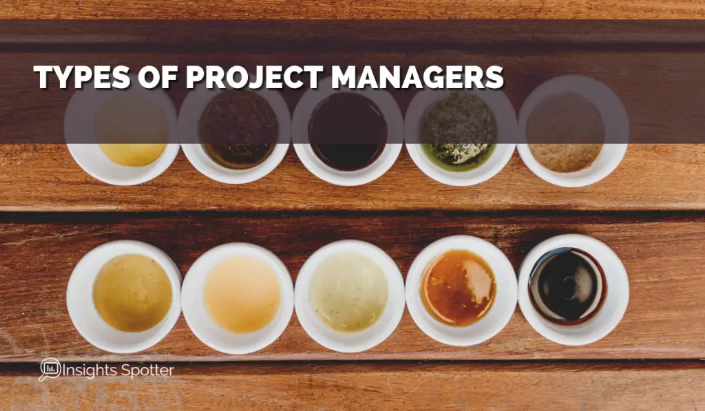 Types of Project Managers