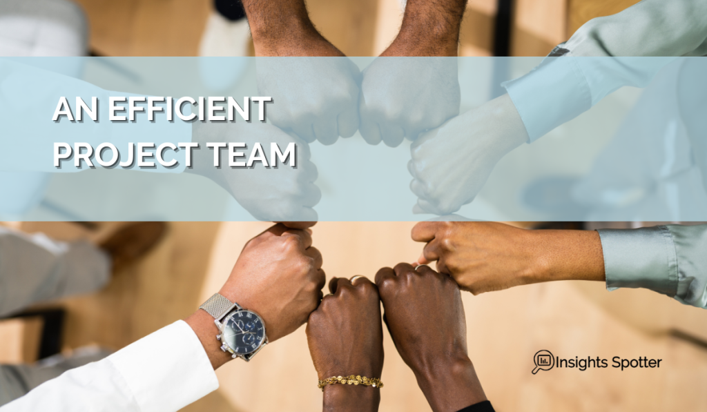 Develop an efficient project team for an effective project
